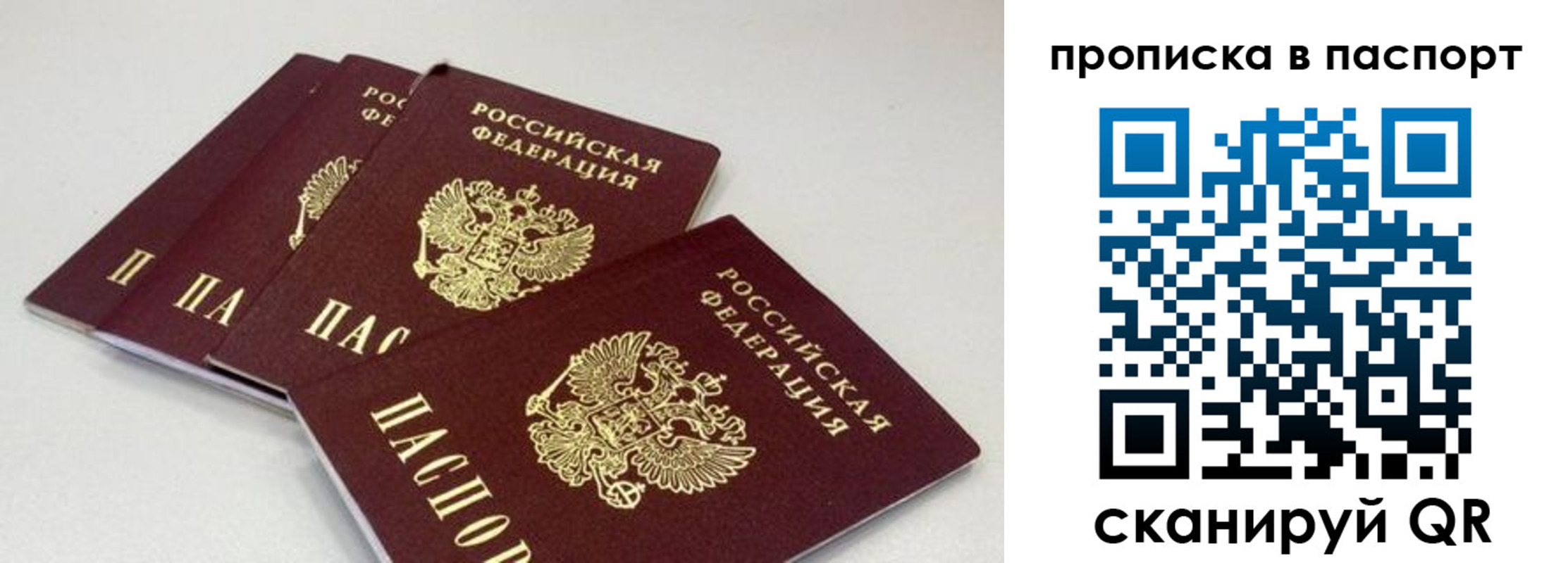 найти адрес прописки в Стародубе